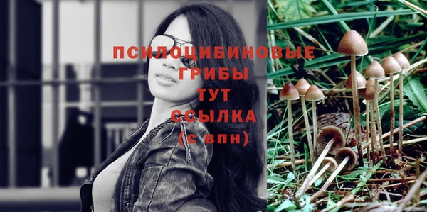 прущая мука Богородицк